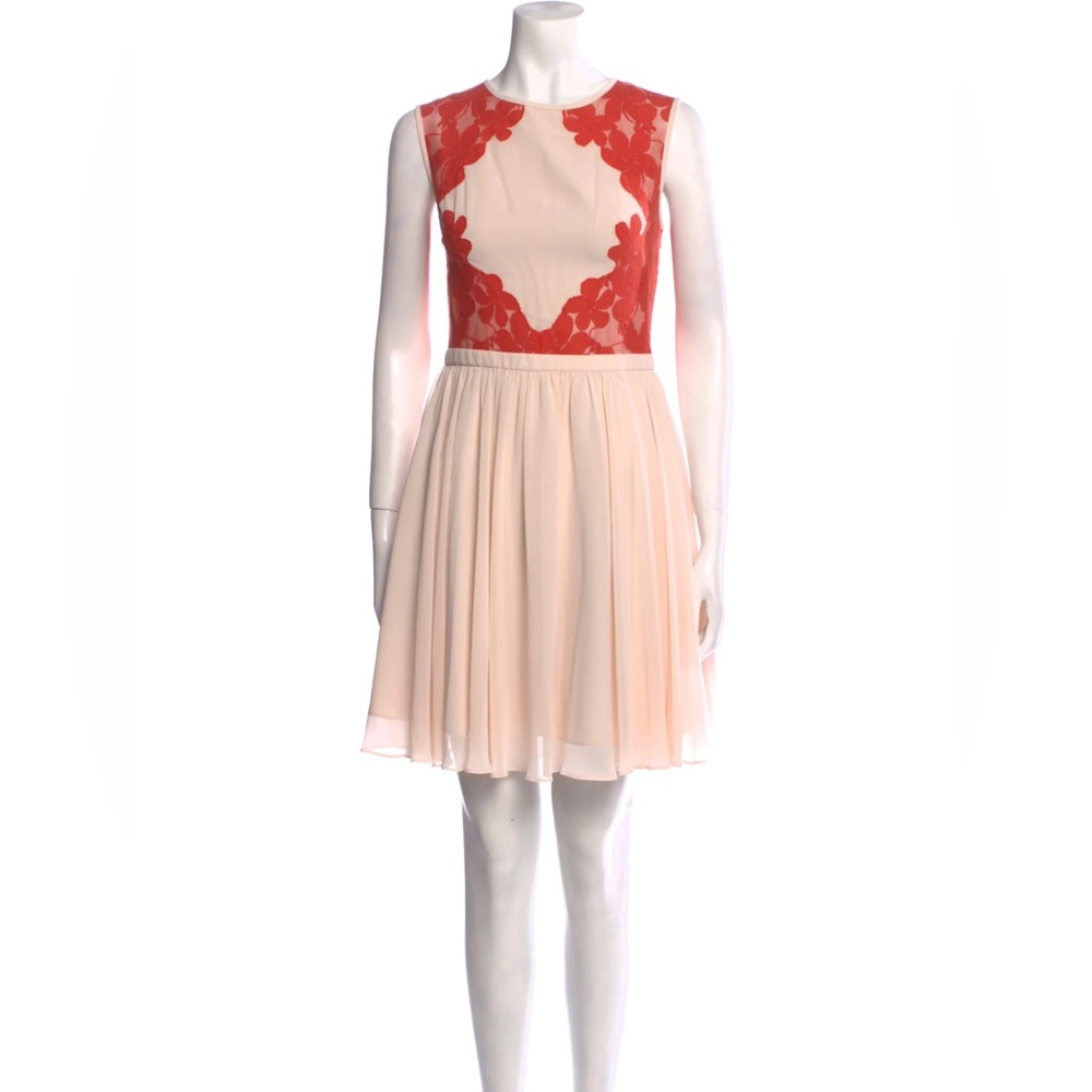 Ted Baker London | Vember Lace Chiffon Dress | Size 4 in US